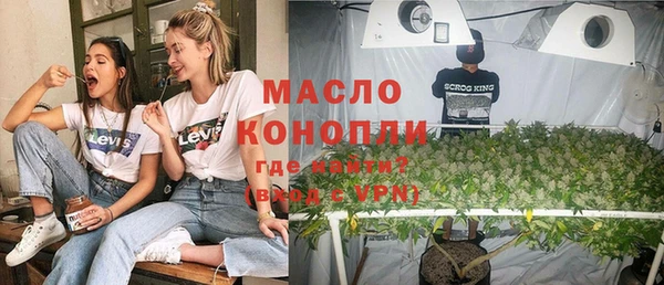 сатива Балахна