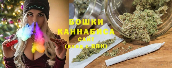 сатива Балахна