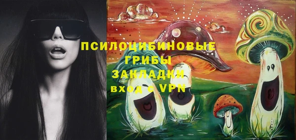 сатива Балахна
