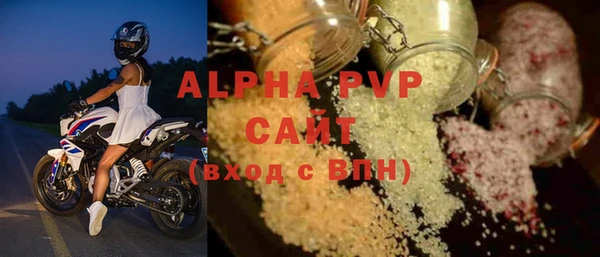 сатива Балахна