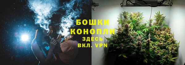 сатива Балахна