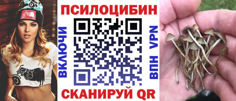 Псилоцибиновые грибы Magic Shrooms  маркетплейс какой сайт  Невель  купить наркотики цена 